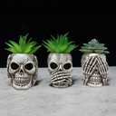 Simcat Succulent Pots with Drainage Mini Creative Skull Decor Resin Flower Pot 3 Cactus Planter Pots Succulent Plant Pots + Removable Drainage Stopper for Home Office Desktop Windowsill Dcor (Beige)