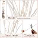 Thiccywoov 24 Pcs Natural Dried White Willow Branches Decorative Twigs for Vase Rustic Farmhouse Home Decor Table Centerpiece Wedding Decoration(21-23inches,Twisted)