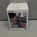 Cheerble Smart Interactive Dog Toy, Wicked Ball Rolly, Automatic Moving, Bouncing, Rotating, E-TPU Material, Active Rolling Interactive Dog Ball for Medium and Large Dogs (Blue)