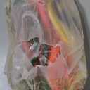 6 Piece Set Premium No - Pull Slip Lead Dog Leashes - 5FT Heavy - Duty Rope for Small & Medium Dogs in a Vibrant 6 - Color Collection