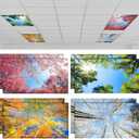 Patelai 8 Pack Light Covers for Classroom Ceiling 4 x 2 Feet Magnetic Light Covers Filter for Office School Drop Ceiling Supplies(Seasons Forest)