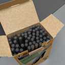 BIC Round Stic Xtra Life Ballpoint Pen, Ultra Long Lasting and Consistent Ink Flow, 60-Count in Black Ink