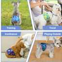 5 Pack Dog Diapers Male Reusable, Premium Belly Bands for Dogs, High Absorbing Male Dog Pee Wraps for Doggie in Incontinence or Excitable Urination Dinosaur, M