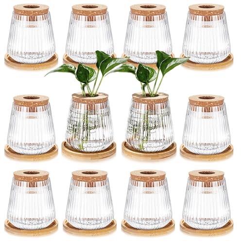 Baderke 12 Packs Propagation Vases for Plants Plastic Plant Propagation with Hole Lid and Bamboo Stand Growing in Water Hydroponic Home Office Desktop Vase Decoration