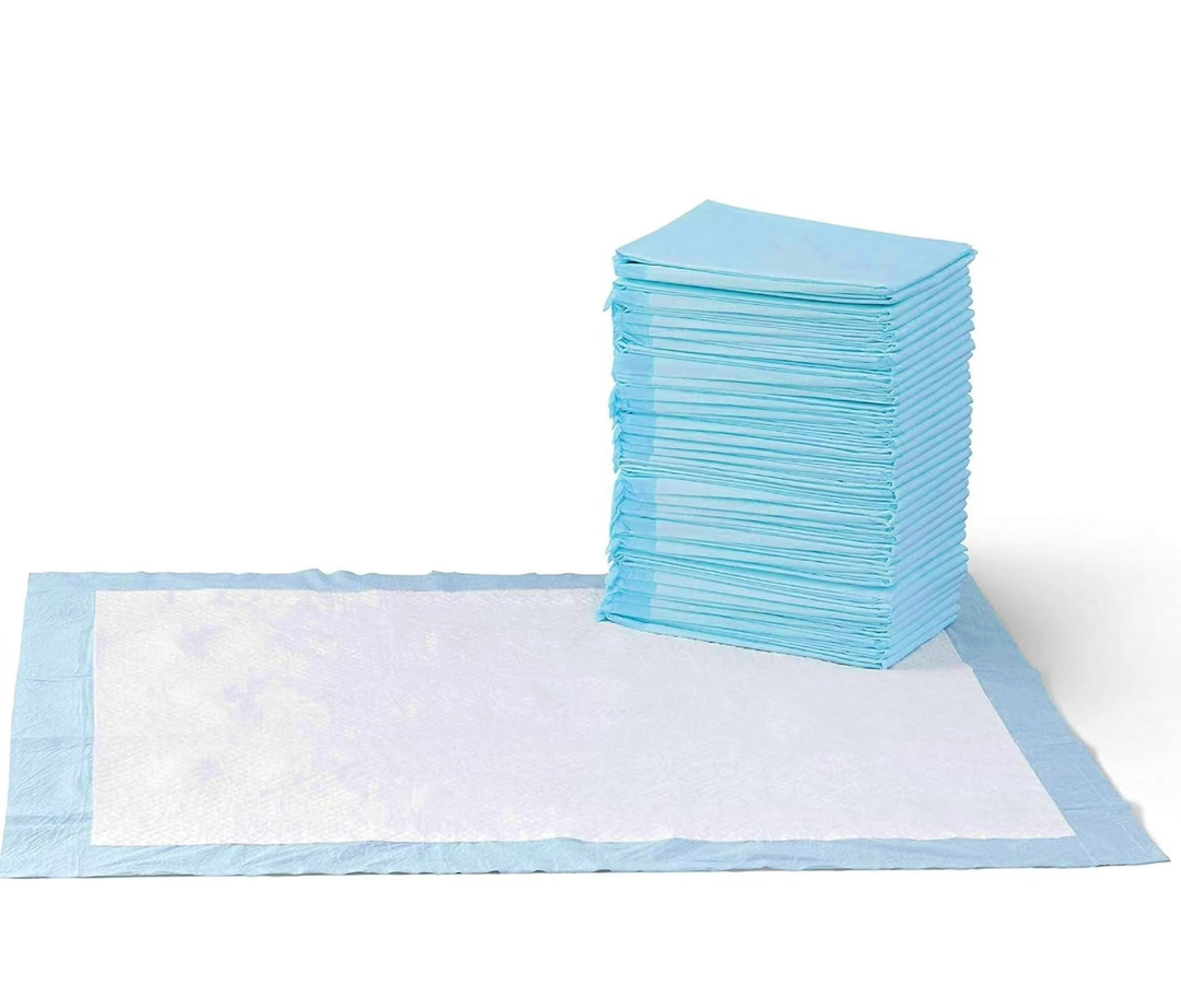 Basics Dog and Puppy Pee Pads, 5Layer LeakProof Super Absorbent, QuickDry Surface, Potty Training, Regular (22x22"), 100 Count, Blue & White