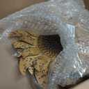 10 Inch Distressed Golden Yellow Metal Sunflower Arrow Replacement