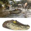 Floating Alligator Head, Alligator Head Decoy for Pool, Fake Gator Head for Deterrent Ducks, Predator, Heron, Goose, etc, Outdoor Statues, Garden Home Decor Art, 13in x 5.5in x 3.5in