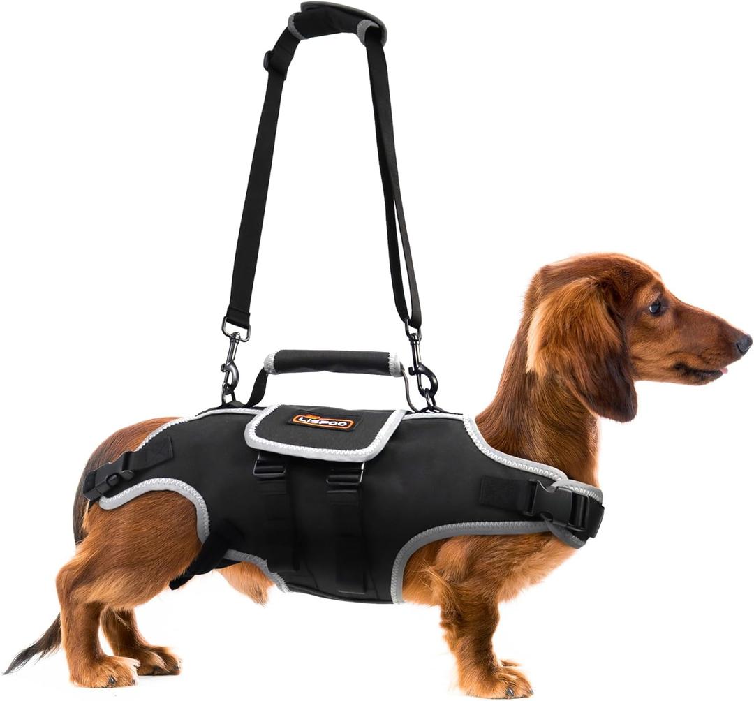 Dog Lift Harness, Full Body Support with Adjustable Control Handle & Reflective Straps for Medium Senior Dogs, Post-Surgery Recovery & Joint Problems (Oxford Cloth, M)