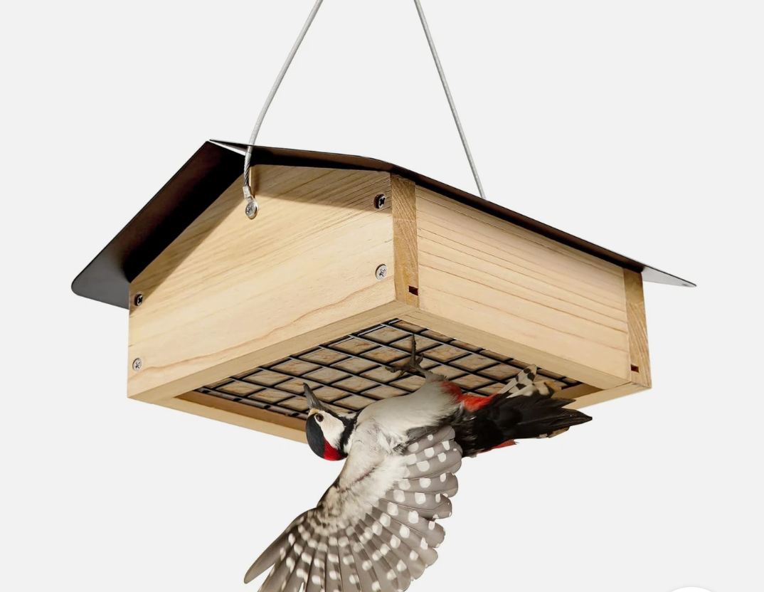 TT Nature Upside Down Suet & Seed Bird Feeder, Eco-Friendly Wood with Rainproof Roof, Seed Block Feeder Attracts Woodpeckers, Nuthatches, Chickadees, Finches