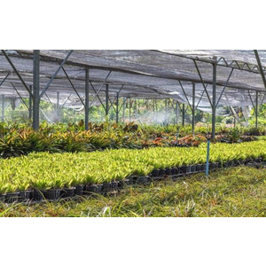 Shade Cloth -for Garden Plants,90% Sunblock Shade Neting Cover with Grommets,Sun Shade Sail Rectangle Sand Block Outdoor Sun Shade, 12'x14'