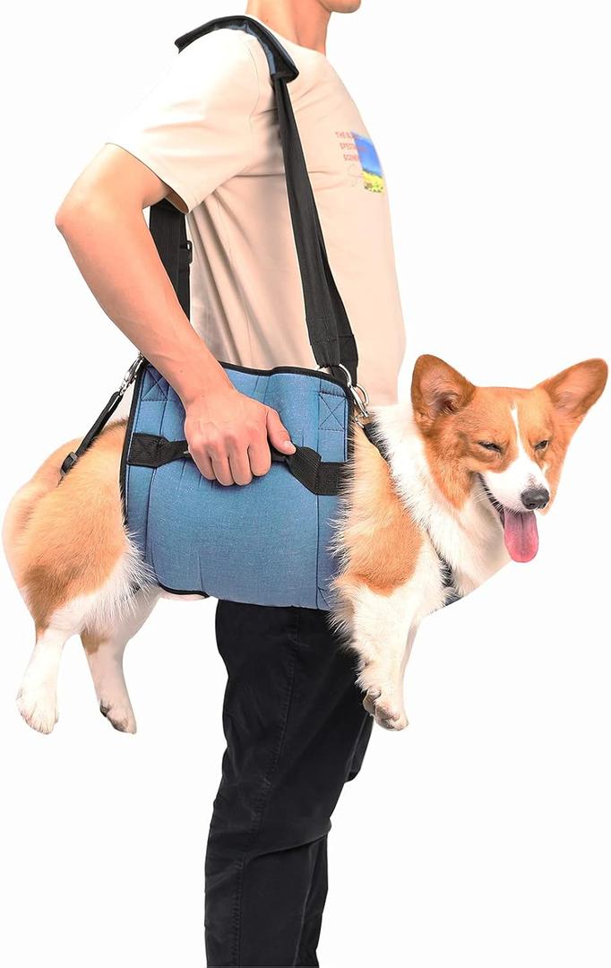 COODEO Dog Carry Sling, Emergency Backpack Pet Legs Support & Rehabilitation Dog Lift Harness for Nail Trimming, Dog Carrier for Senior Dogs Joint Injuries, Arthritis, Up and Down Stairs(L, Black)