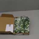 Artificial Hanging Flowers for Outdoor Indoor Decor, 6 Packs Fake Eucalyptus Vine Faux Flower Greenery Garland Plastic Plants Outside Wall Garden Wedding Home Party Decor (White)