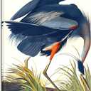 Wieco Art Canvas Print Wall Art Great Blue Heron by John James Audubon Vintage Poster Birds of America Antique Bird Illustration Wall Art for Living Room Home Kitchen Decorations (24x36inch(60x90cm))