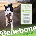 Benebone Dental Durable Dog Chew Toy for Aggressive Chewers, Real Chicken, Made in USA, Small