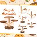 Havawish 5 Pcs Dessert Stand Set 2 Tier Cake 4 Tier Cupcake Tower Trays