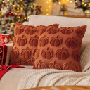 Rust Red Fall Pumpkin Decorative Throw Pillow Covers Set of 2, 18x18 Inch Soft Plush 3D Embroidered Halloween Pillow Covers for Fall Decorations Farmhouse Cushion Covers for Thanksgiving