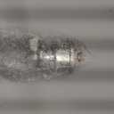 12-36V Master Battery Disconnect Switch, High Current up to 500A. Perfect for Cars, Trucks, RVs, Boats, and ATVs. Easy On/Off Operation with Face Plate Included