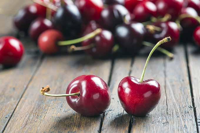 Prepworks by Progressive by Progressive Cherry-It Cherry Pitter