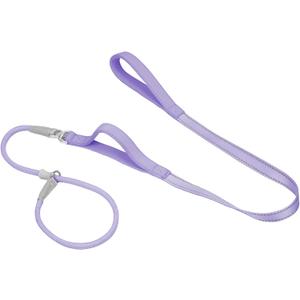 Slip Lead Dog Leash with Double Handle, Reflective Dog Training Leash 360 Swivel Heavy Duty Nylon Slip Lead and Collar Set for Medium Large Small Dog No Pull Walk 5FT Purple