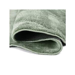Green Plush Area Rug 47 in x 68 in