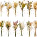 12/24 PCS Charming Dried Flowers Bouquet for Vase Various Dried Wildflowers with Stems Mini Handmade Wildflowers Natural Real Flowers Bulk Flowers Craft (Solid Color, 12 PCS)