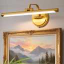 Hard-Wired Picture Light for Wall,16'' Inch Modern Brass Metal Body Dimmable Frame Light with Adjustable Swing Arm 3CCT LED Art Display Light for Paintings Gallery 6W Wall Light, Hallway Vanity Light (Gold)