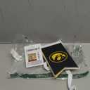 Iowa Hawkeyes Banner String Pennant Flags