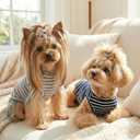 2Pack Dog Shirt Cotton Striped T-Shirts Stretchy Comfortable Pet Vest for Puppy and Cat Super Soft Dog Shirts Vest Sleeveless Breathable Basic Clothes for Boy Girl Dogs, Size: 2XL(Back: 19.7", Chest: 25.6", 29.8-40.8lbs)