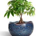 10 Inch Plant Pot - Ceramic Planter for Indoor Outdoor, Round Bonsai Pots, Decorative Flower Pots with Drainage Hole, Modern Unique Planters, House Decor, Home Gifts, Retro Blue, 10.5 Inch