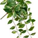Oairse Artificial Hanging Plants Hanging Faux Pothos Vines Plants Fake Wall Plant Greenery Decor for Bedroom Bathroom Living Room Balcony Shelf Indoor Outdoor Dcor