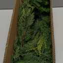 2PCS 6FT Christmas Cedar Garland with 160 Pine Tips, Realistic Faux Garland Artificial Greenery for Fireplace, Table, Wall, Indoor, Outdoor Holiday Home Decorations