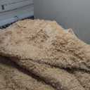 8x10 Area Rugs for Living Room Bedroom, Large Area Rug Shaggy Carpet Soft Plush Furry Bedside Rug, Rugs for Home Decor (Beige, 8 x 10)