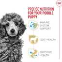 Royal Canin Breed Health Nutrition Poodle Puppy Dry Dog Food, 2.5 lb Bag