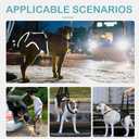 Dog Lift Harness - Post Surgery Support for Senior Dogs & Hip Dysplasia, Adjustable Sling for Small/Medium/Large Dogs, Potty-Friendly & No-Slip Design with Reflective Safety, M (Black)