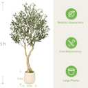 5ft Olive Trees Artificial Indoor with White Tall Exquisite Planter