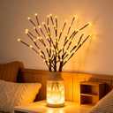 GOESWELL Lighted Branches Tree Lights: 18In Brown Willow Twig Light with Timer for Vase Decor - Tree Branch Light with 60 Warm White LED for Tabletop Living Room Indoor Decoration