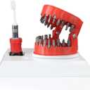 NICENICY Denture Drill Bit Holder with Base, Mouth Bit Holder, 3D Sculpture Desk Gadget, Denture Drill Bit Holder with 28PCS 1/4 Hex Bit, 3-in-1 Screwdriver, Bit Holder& Desk Decor (White-red)