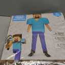 Disguise Steve Deluxe Minecraft Costume, Multicolor, Small (4-6)