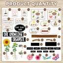 2 x Summer Classroom Bulletin Board Decoration Back to School Bulletin Board Set Frog Butterfly Life Cycle Science Posters Sunflower Plant Growth Process Cutouts for Classroom Wall Teacher Supplies, 59.1 inches x 35.4 inches