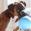 Jolly Pets Romp-N-Roll Rope & Ball Dog Toy, 8 in Large, Blueberry