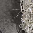 Christmas Light White