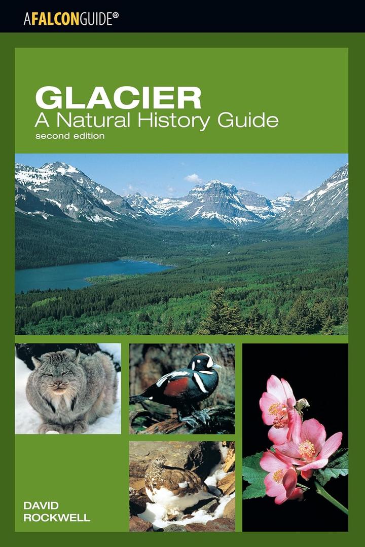 Glacier: A Natural History Guide (Falcon Guide)