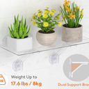 Lifewit 6" Extra Wide & Strong Window Plant Floating Shelf , Heavy Duty Acrylic Suction Cup Shelf, Sill Extender for Succulent Plants, Seed Starter Pots, Herb Planters 38 x 15 cm/15.2x6 LifeWit Shelf