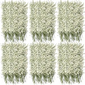Coume 300 Pcs Mini Dried Babys Breath Flowers Pressed Babys Breath Ivory White Dried Flowers Bulk Natural Gypsophila for Wedding Invitation Bridal Scrapbook Bookmark DIY Art Crafts Card Resin Candle