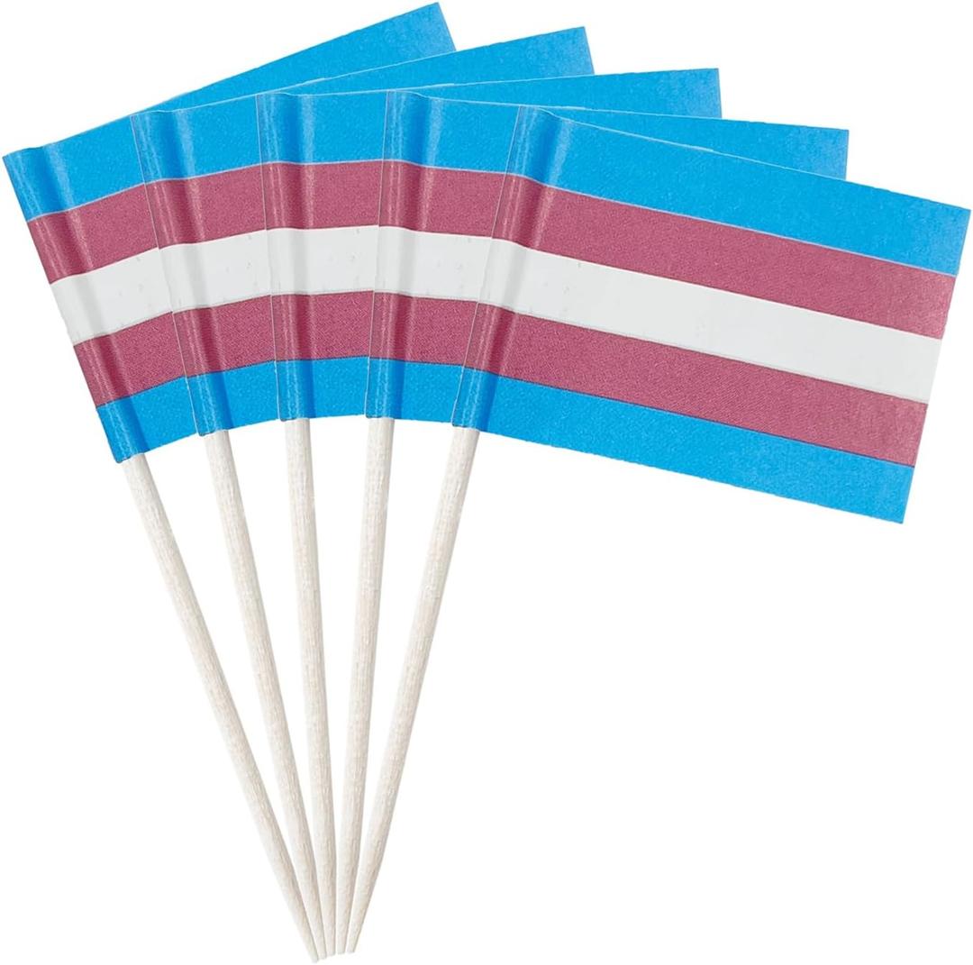 4 x stidsds 100 Pcs Pride Rainbow Flag Transgender Toothpick Flags Mini Small Gay LGBTQ Cupcake Toppers Stick Flags Banner Rainbow Party Cocktail Fruit Decoration
