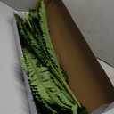 FOREST PRINCE 35" Ferns Artificial Bush Plants Large, 2 Artificial Boston Ferns with 39 Fronds for Outdoors Home Decor