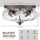 Darkaway Ceiling Light Fixtures Flush Mount Indoor Outdoor Ceiling Light with Water Ripple Glass Shade for Hallway Kitchen Bedroom Porch Living Room Bronze Finish
