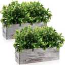 Lyrow 2 Pack Artificial Eucalyptus Plants in Rectangular Rustic Wooden Planter Box Faux Potted Herb Plant Greenery Centerpiece for Cabinet Windowsill Table Shelf Wedding Farmhouse Decor (White,11.4'')