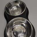 Dog Bowls Double Dog Water and Food Bowl Stainless Steel Bowl with Non-Slip Resin Station, Pet Feeder Bowls for Puppy Medium Dogs Cats (1.Black)