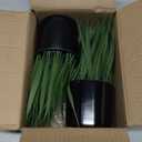 2 Pack Fake Plants Indoors Potted Wheat Grass Faxu Plants for Desk Table Shelf Decor, Artificial Plants Greenery Indoor for Bathroom Office Kitchen Living Room Home Decoration